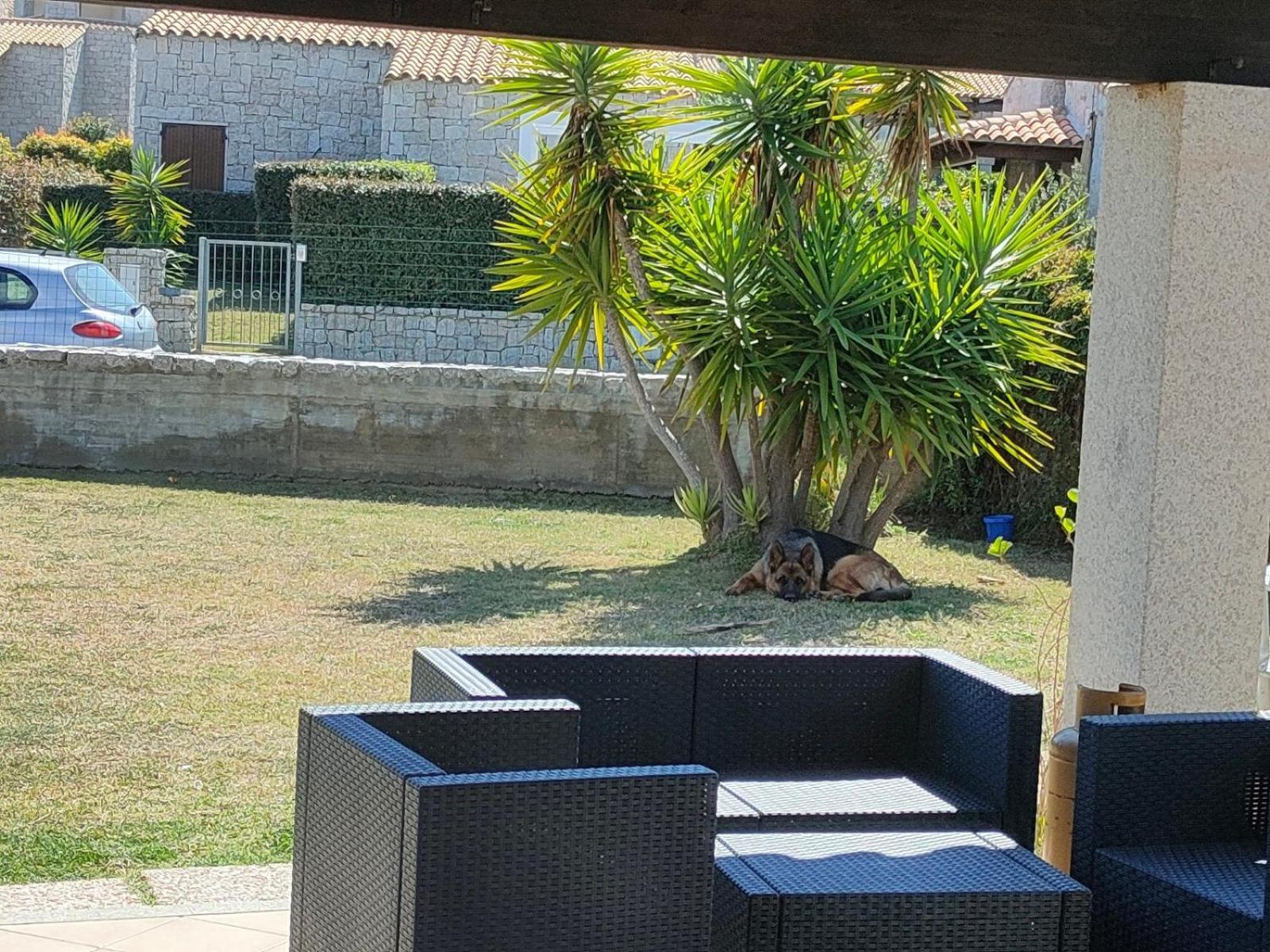 Villa Cala Sinzias Castiadas Exteriör bild